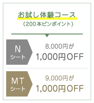 お試し体験コース（200本ピンポイント)