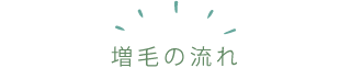 増毛の流れ