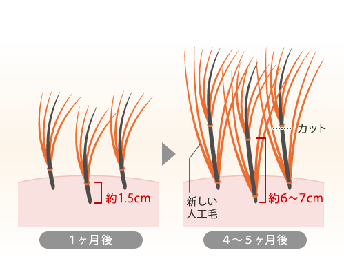 自然なヘアースタイルをキープ